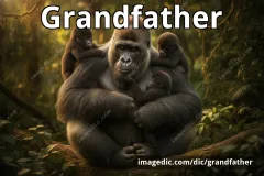 grandfather