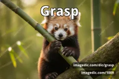 grasp