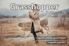 grasshopper