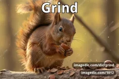 grind