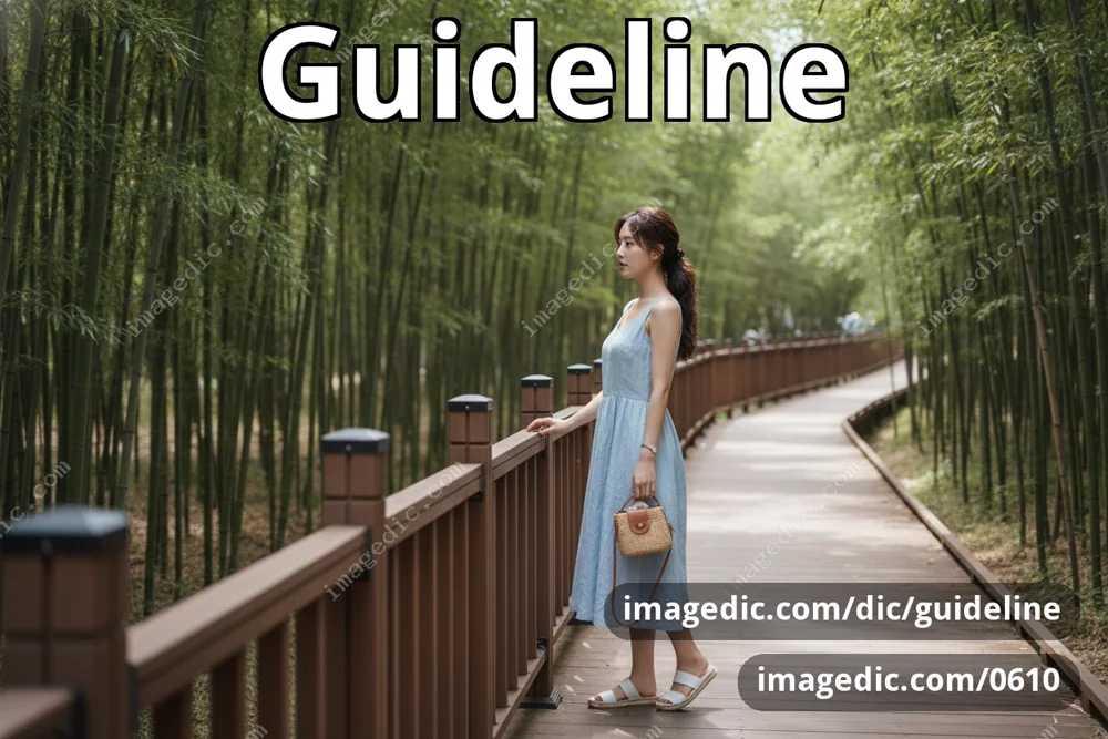 guideline