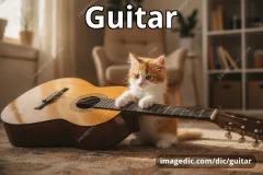 guitar