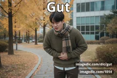 gut