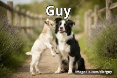 guy