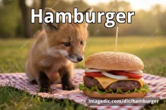 hamburger