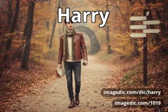 harry