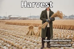 harvest