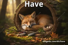 have