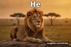 he