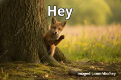 hey