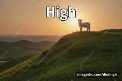 high