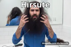 hirsute