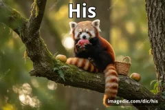 his