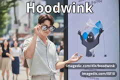 hoodwink