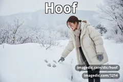 hoof