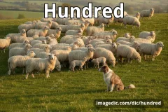 hundred