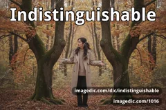 indistinguishable