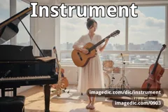 instrument