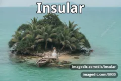 insular