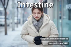 intestine