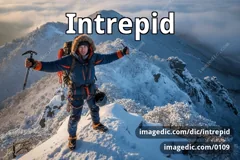 intrepid