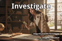 investigate