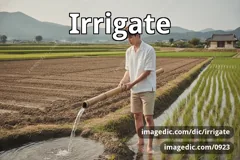 irrigate