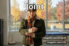 joint