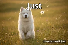just