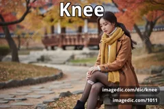 knee
