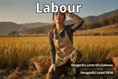 labour