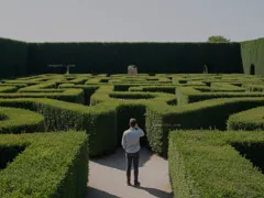 labyrinthine