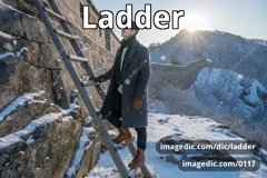 ladder