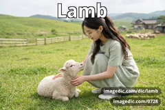 lamb