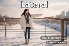 lateral