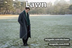 lawn