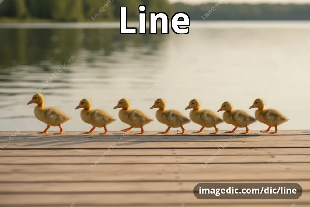 line