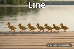 line