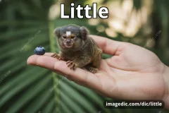 little