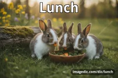 lunch