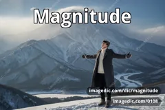 magnitude