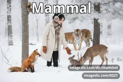 mammal