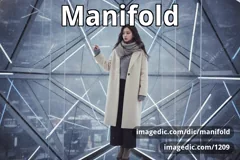 manifold