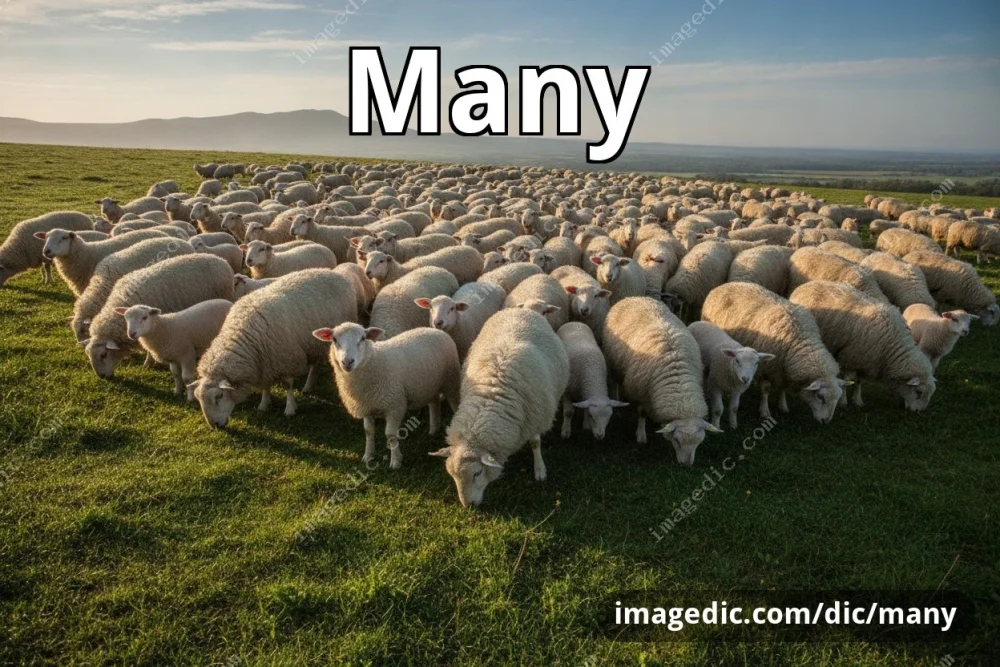 many