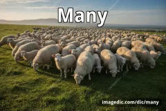many