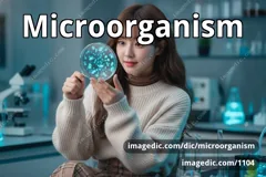 microorganism