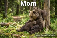 mom