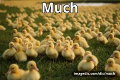 much