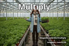 multiply