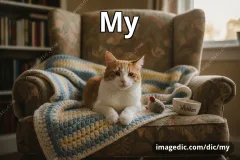 my